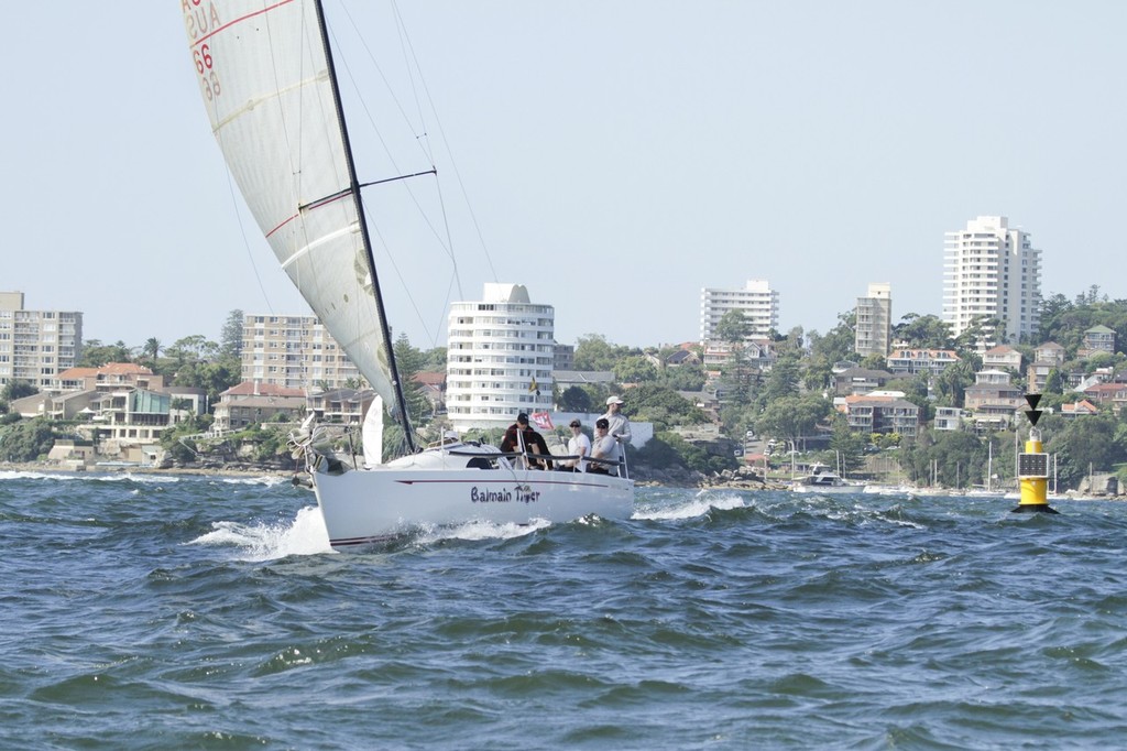 Flying Tiger Series Winner Balmain Tiger  - Sydney Harbour Regatta 2012 photo copyright Beth Morley - Sport Sailing Photography http://www.sportsailingphotography.com taken at  and featuring the  class