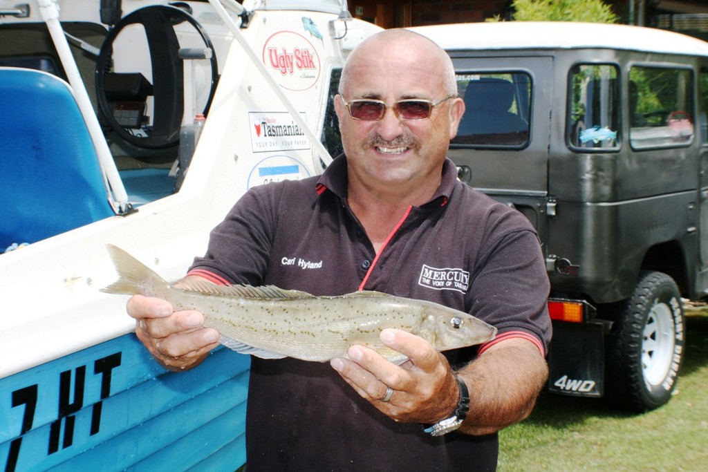 Delicious King George are a  welcome catch. photo copyright Carl Hyland taken at  and featuring the  class