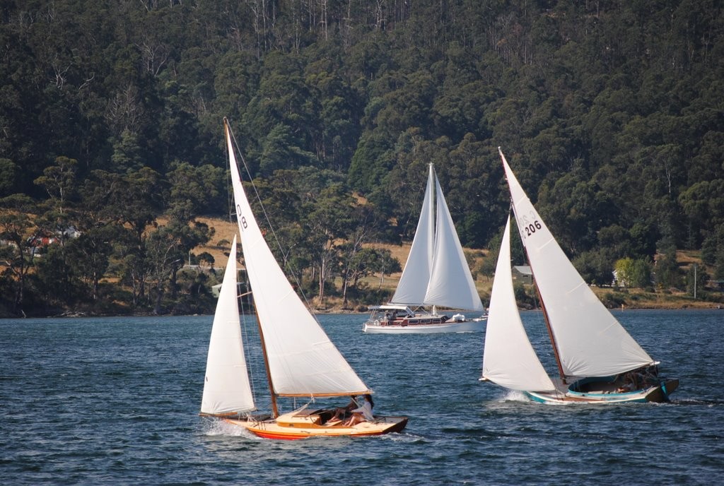 D-class yacht Merlin and a ‘couta boat racing - Cygnet Regatta 2012 © Rob Cruse