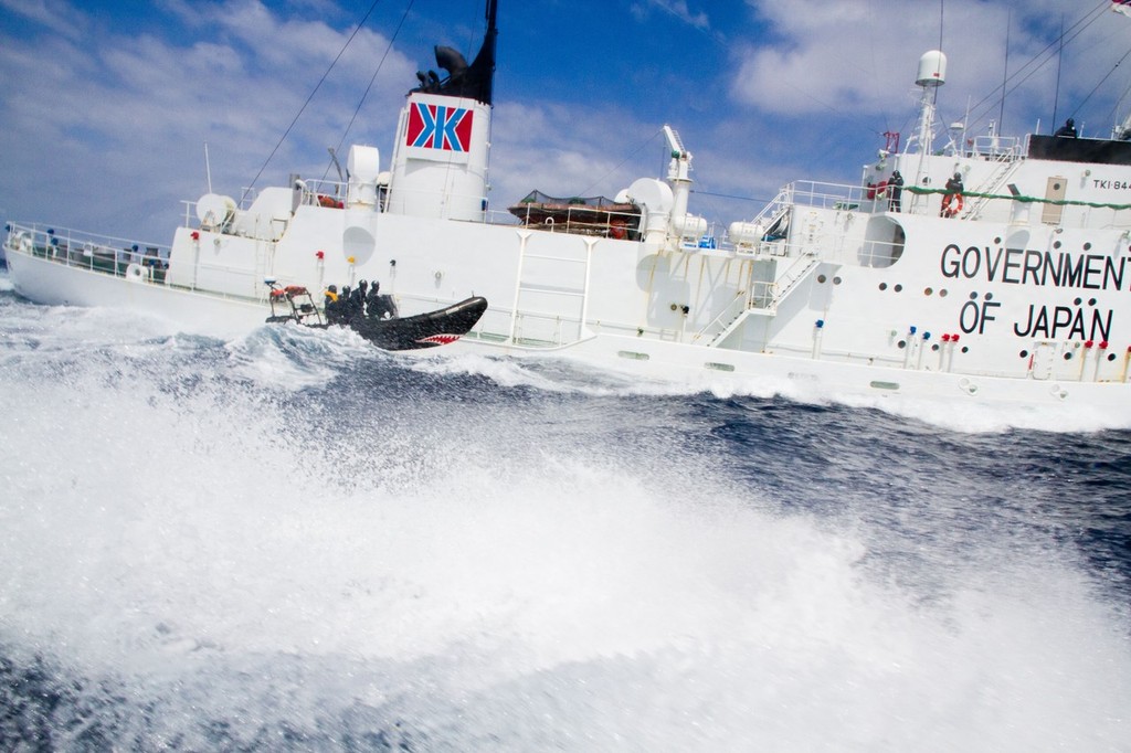 Sea Shepherd got a look of the deck of the Shonan Maru no 2 5524586 photo copyright Sea Shepherd Conservation Society - copyright http://www.seashepherd.org taken at  and featuring the  class