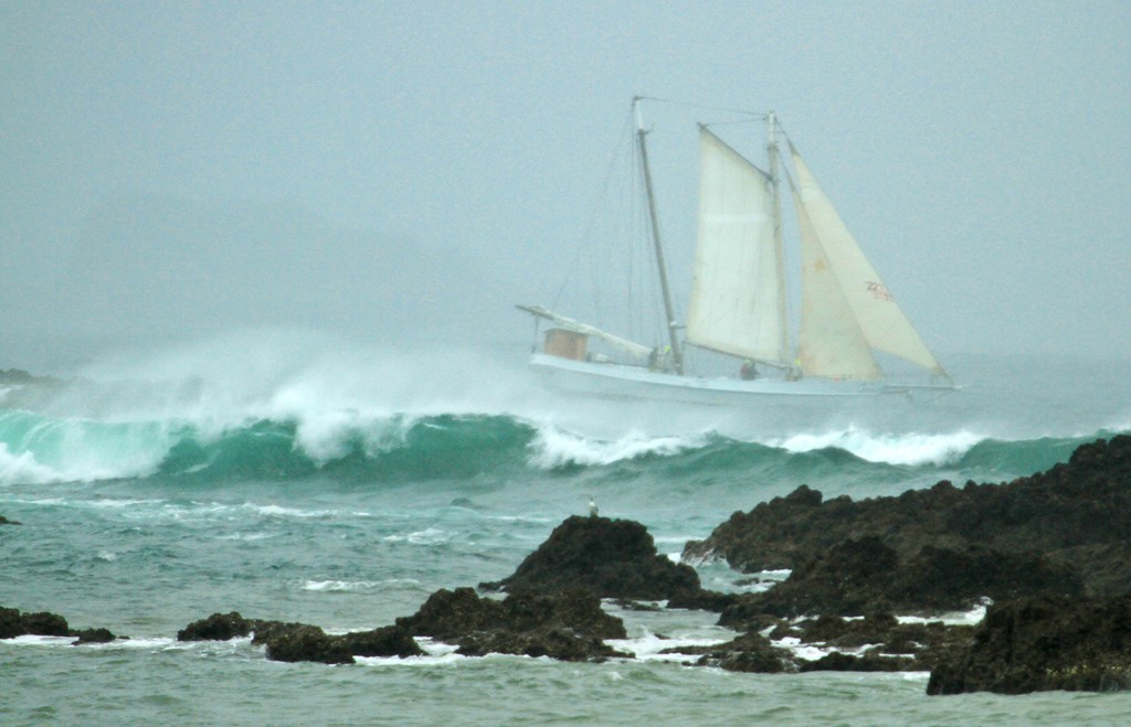 Sione - Tall Ships and Classic Invitational Race, Bay of Islands - 2012 © Steve Western www.kingfishercharters.co.nz