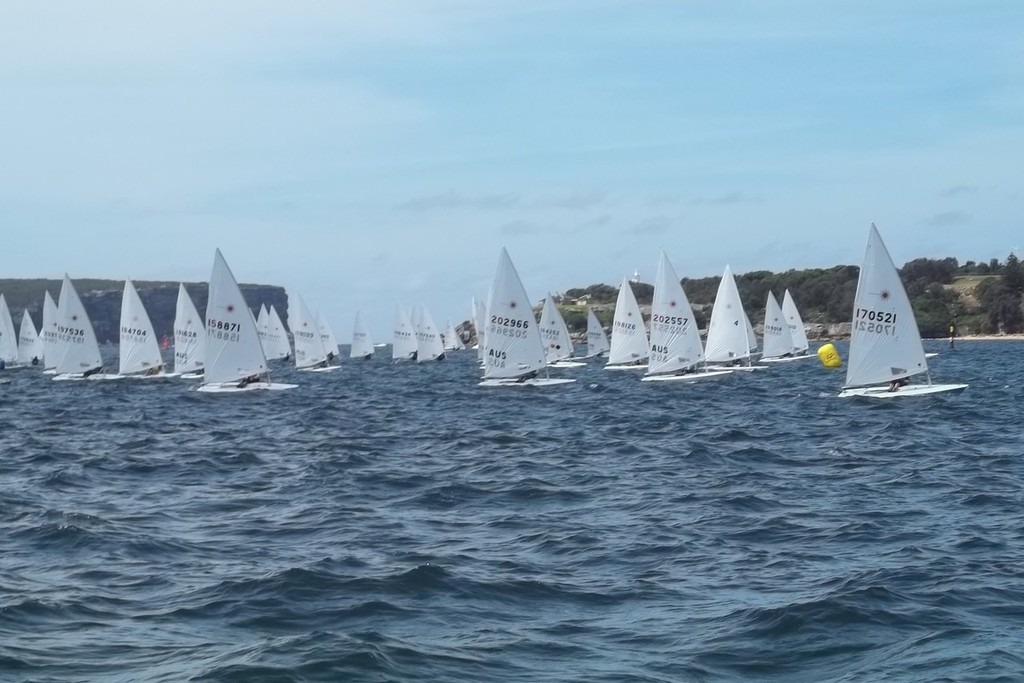 Vaucluse Regatta Laser Fleet - Photo Erin McKnight - Vaucluse Regatta photo copyright Erin McKnight taken at  and featuring the  class