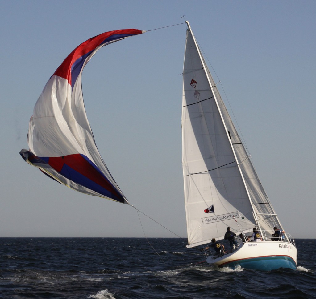 Spinnaker Issues - Port of Los Angeles Harbor Cup/Cal Maritime Invitational Intercollegiate Regatta  © Madeleine McJones