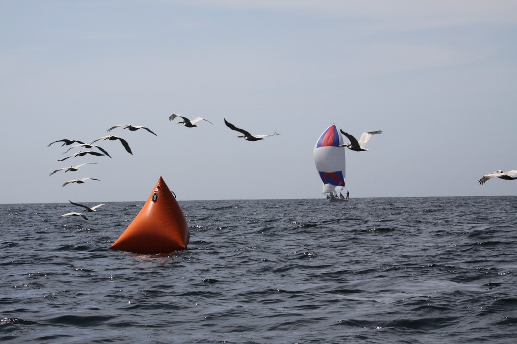 Port of Los Angeles Harbor Cup/Cal Maritime Invitational Intercollegiate Regatta  © Madeleine McJones