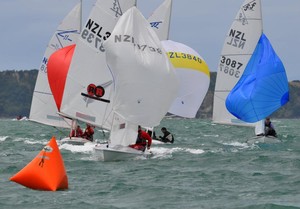 Flying Fifteens - On water action from Day 2 of Sail Auckland photo copyright Suellen Hurling taken at  and featuring the  class