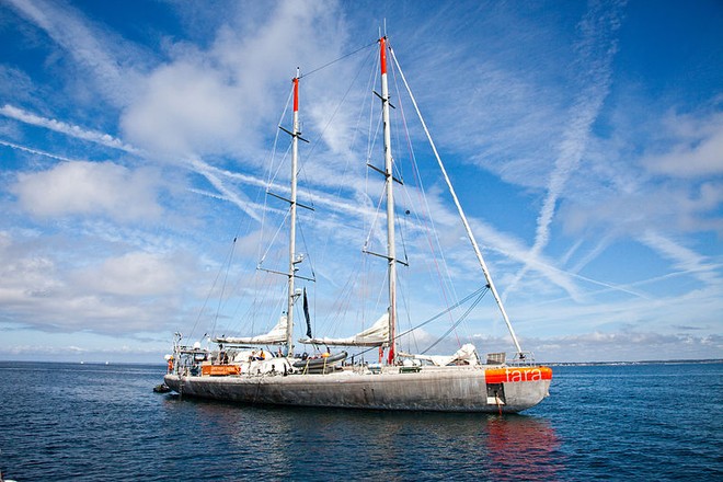 Antarctica-Seamaster-Tara ©  SW