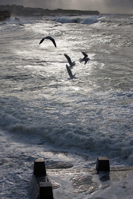 TRAVEL - Coogee Ocean Pool, Sydney (AUS) - <br />
King tides and East Coast Low 6th June 2012 ©  Andrea Francolini Photography http://www.afrancolini.com/