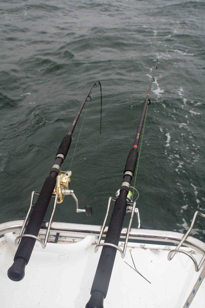 What's the best circle hook for fishing: straight, or offset?