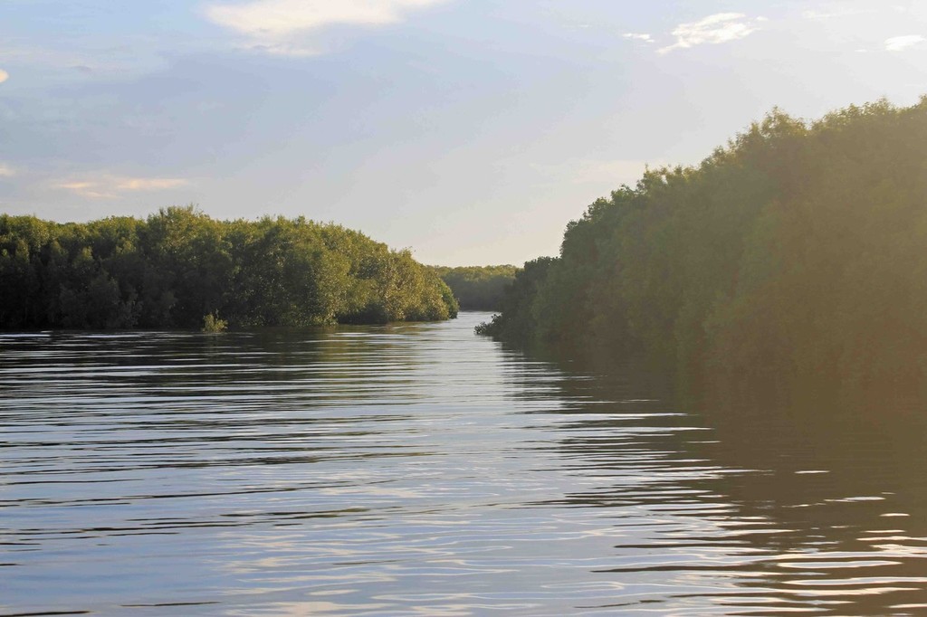 Small tidal creeks can lead to some big barra to be caught. © Jarrod Day