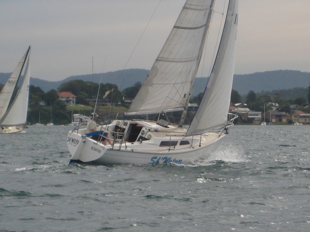 IMG 2930 - Nothshore Nationals at Lake Macquarie © Rod Mackay