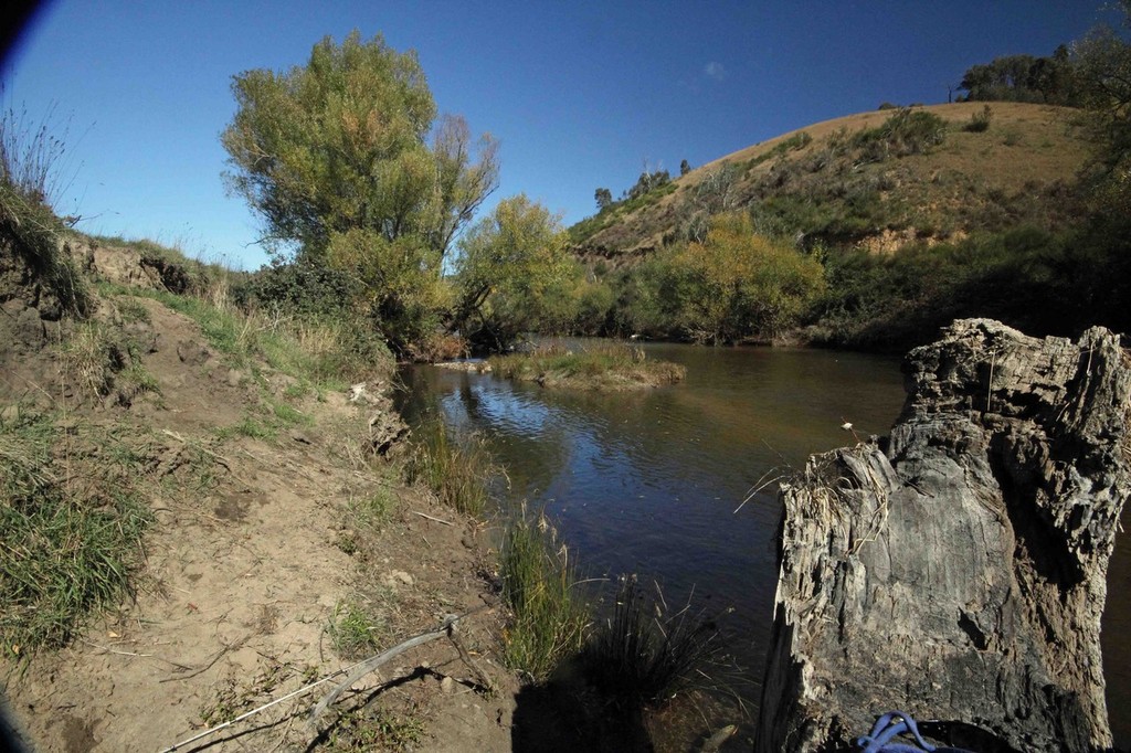 Stalking trout along the Mitta Mitta  © Jarrod Day