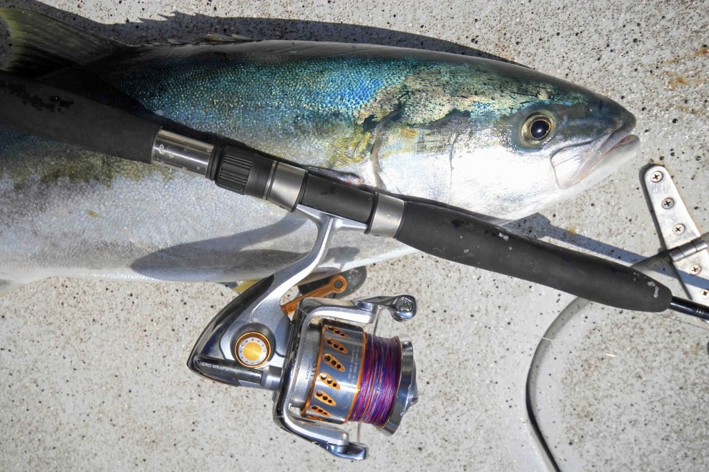 Strong reels and 50lb braid is mandatory when fishing the RIP.