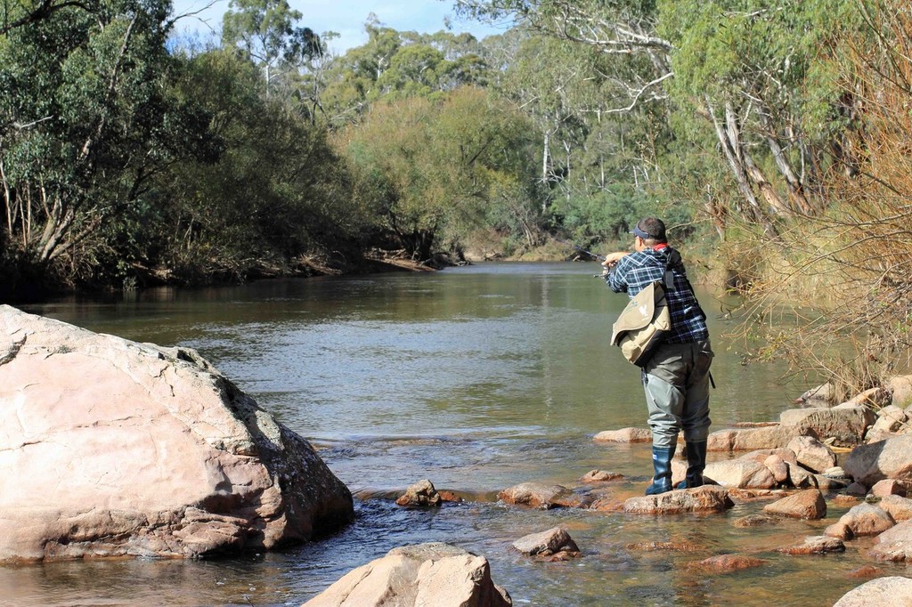 Stalking trout along the Mitta Mitta  © Jarrod Day