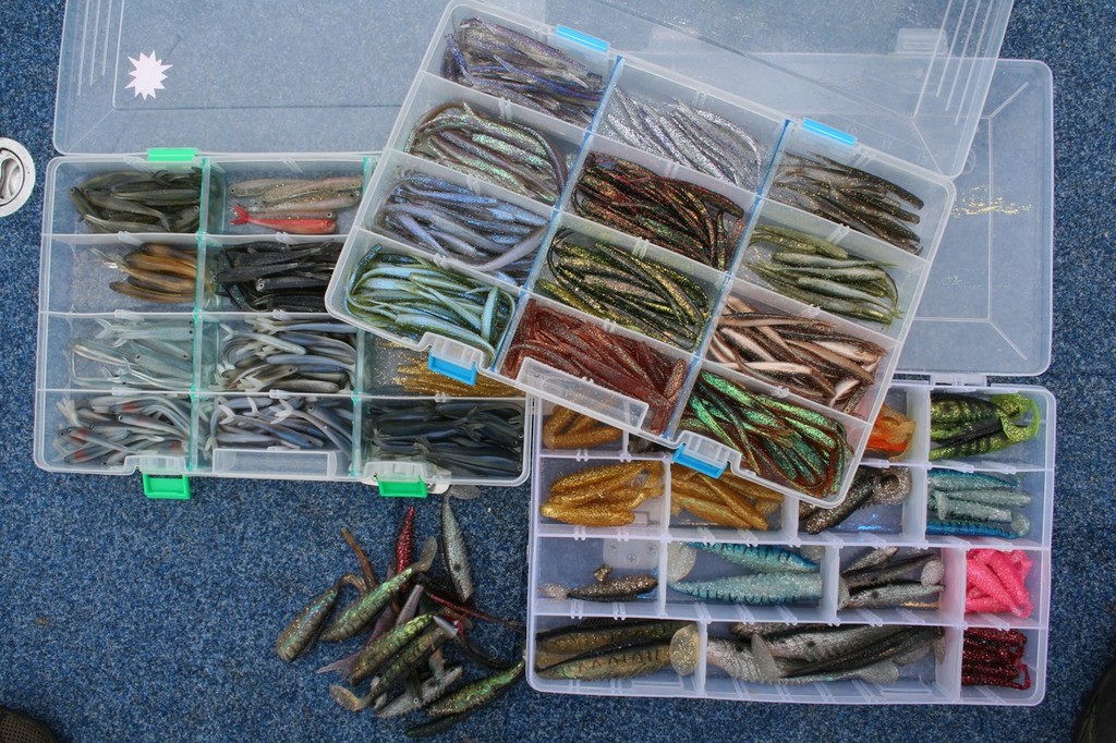Soft plastics are very effective lures to use on ream and flathead. © Jarrod Day