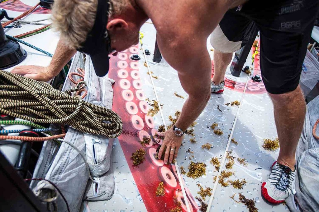 Tony Mutter frees the tail bags of their Sargasso weed infestation. Onboard PUMA Ocean Racing powered by BERG during leg 6 of the Volvo Ocean Race 2011-12 © Amory Ross/Puma Ocean Racing/Volvo Ocean Race http://www.puma.com/sailing