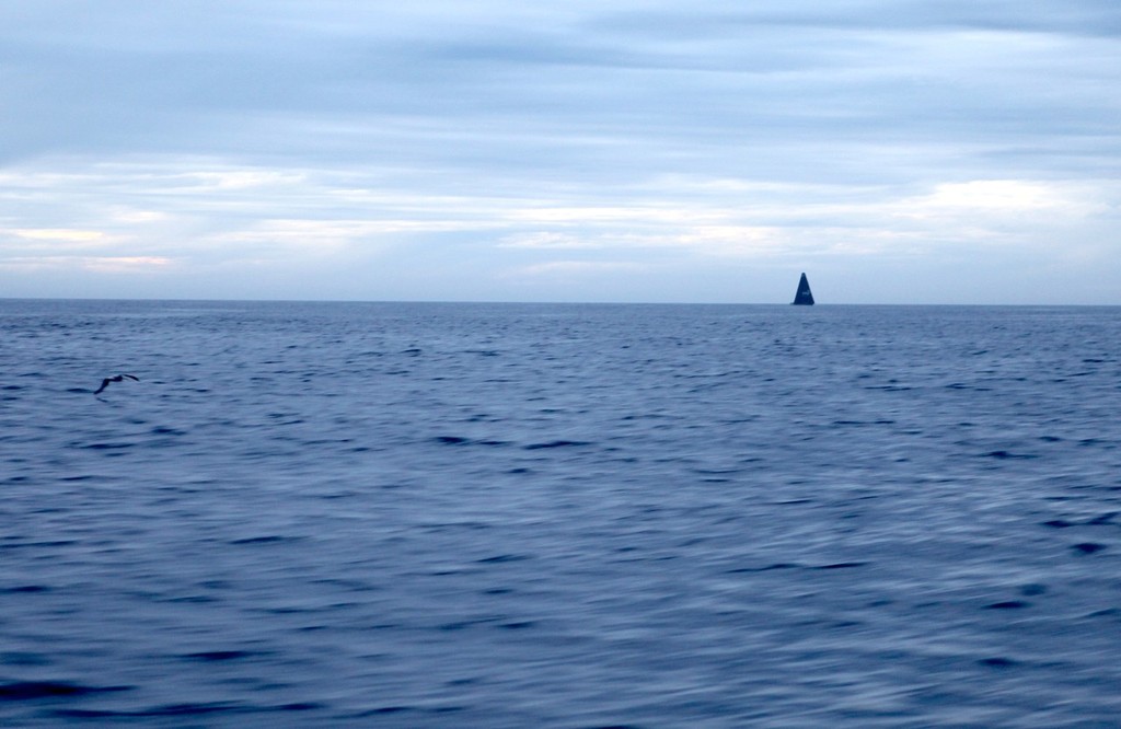 Day 15 - The Puma Cat at sight - Leg 5 - Volvo Ocean Race 2011-12 © Yann Riou/Groupama Sailing Team /Volvo Ocean Race http://www.cammas-groupama.com/