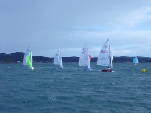 Brzo leads the field - 2012 Elliott 5.9 Traveller Series, Opua Regatta photo copyright Lorraine Kite taken at  and featuring the  class