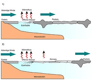 Schematische Zeichnung einer Polynja in der Laptev See:  Das frei treibende Packeis wird durch ablandige Winde vom am Land verankerten Festeis weggetrieben. So entstehen neue offene Wasserflächen in denen bei extrem geringen Temperaturen Eiskristalle entstehen. Die Eiskristalle bilden neue Dünneisflächen, die später in den zentralen Arktischen Ozean exportiert werden. Grafik: Thomas Krumpen, Alfred-Wegener-Institut

Schematic drawing of a polynya in the Laptev Sea: The freely drifting pack ice i photo copyright Alfred Wegener Institute - copyright http://www.awi.de/ taken at  and featuring the  class