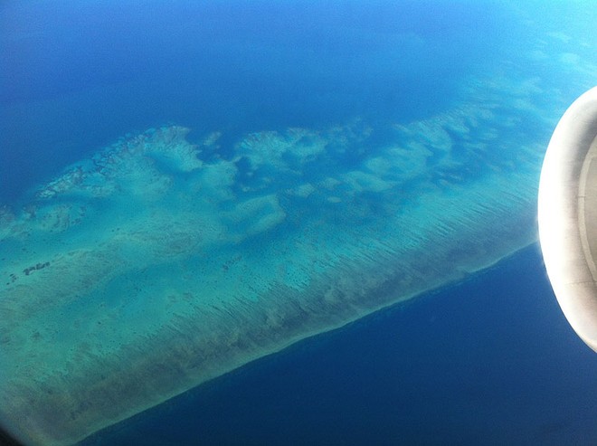 That wonderful natural wonder of the world known as the Great Barrier Reef. ©  John Curnow