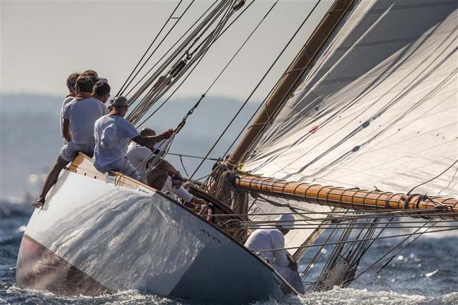 AVEL - 2012 Les Voiles de Saint-Tropez ©  Rolex / Carlo Borlenghi http://www.carloborlenghi.net