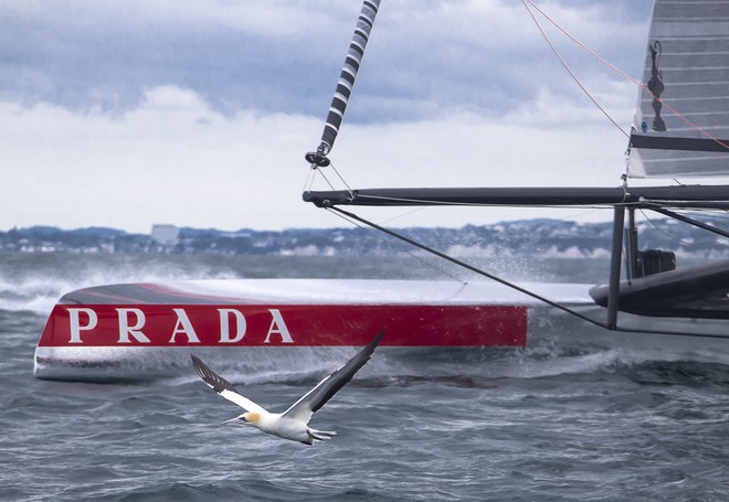 First sailing day in the Hauraki Gulf, Auckland-NZ, for AC72 Luna Rossa © Carlo Borlenghi/Luna Rossa http://www.lunarossachallenge.com