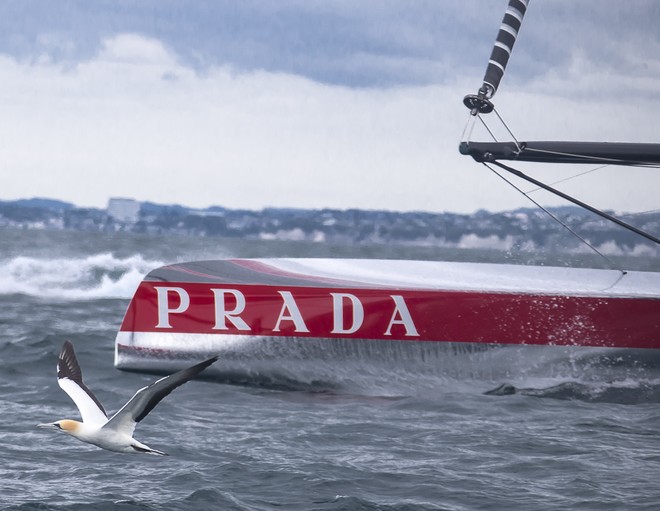 Luna Rossa AC72<br />
First sailing day in the Hauraki Gulf, Auckland-NZ, © Carlo Borlenghi/Luna Rossa http://www.lunarossachallenge.com