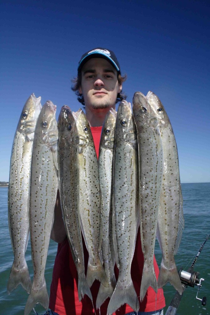 If your prepared to put in the effort, some nice whiting can be caught © Jarrod Day
