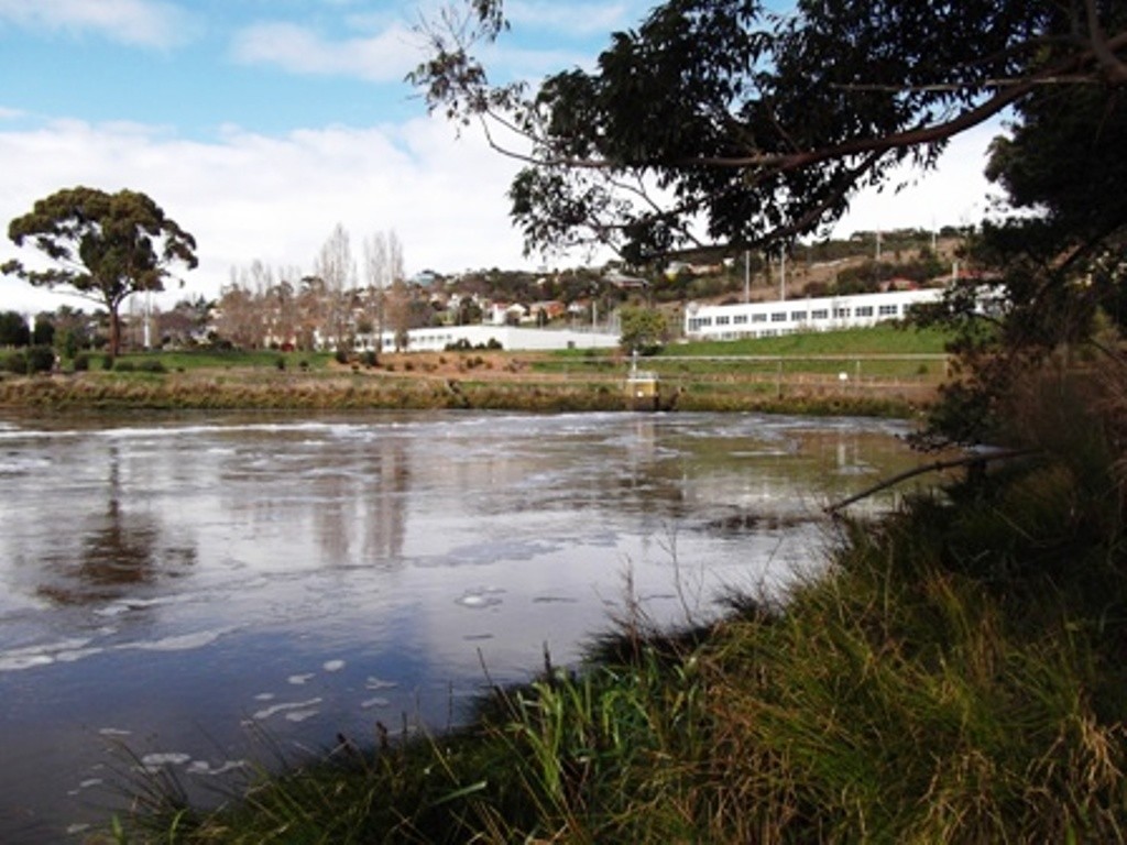 Tailrace, where fresh meets salt. © Carl Hyland