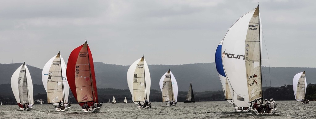 2012 NSW Melges 24 State Titles © Ash Stephens