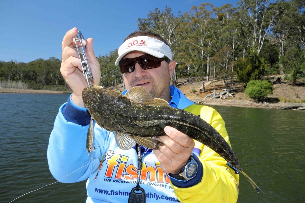 Frank Milito holds a nice dusky flathead caught on a DOA prawn. © Jarrod Day