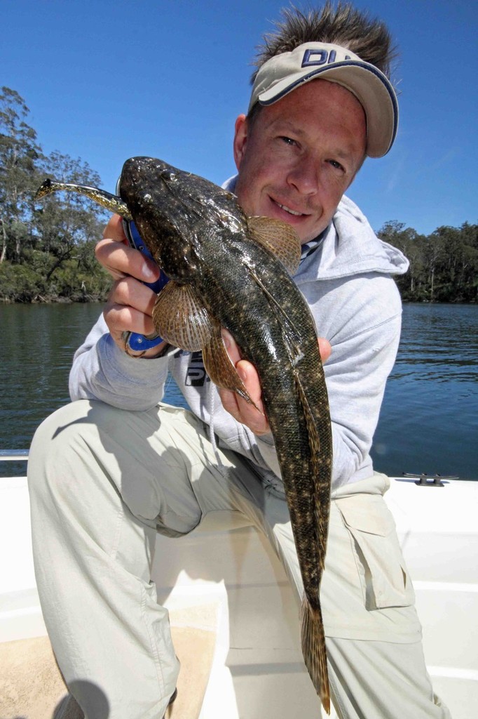 Another nice flathead holds still for a photo. © Jarrod Day