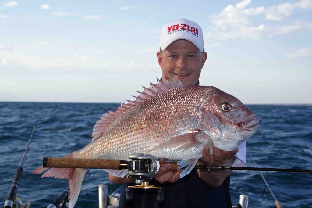 Snapper can also be caught using a variety of lures. © Jarrod Day