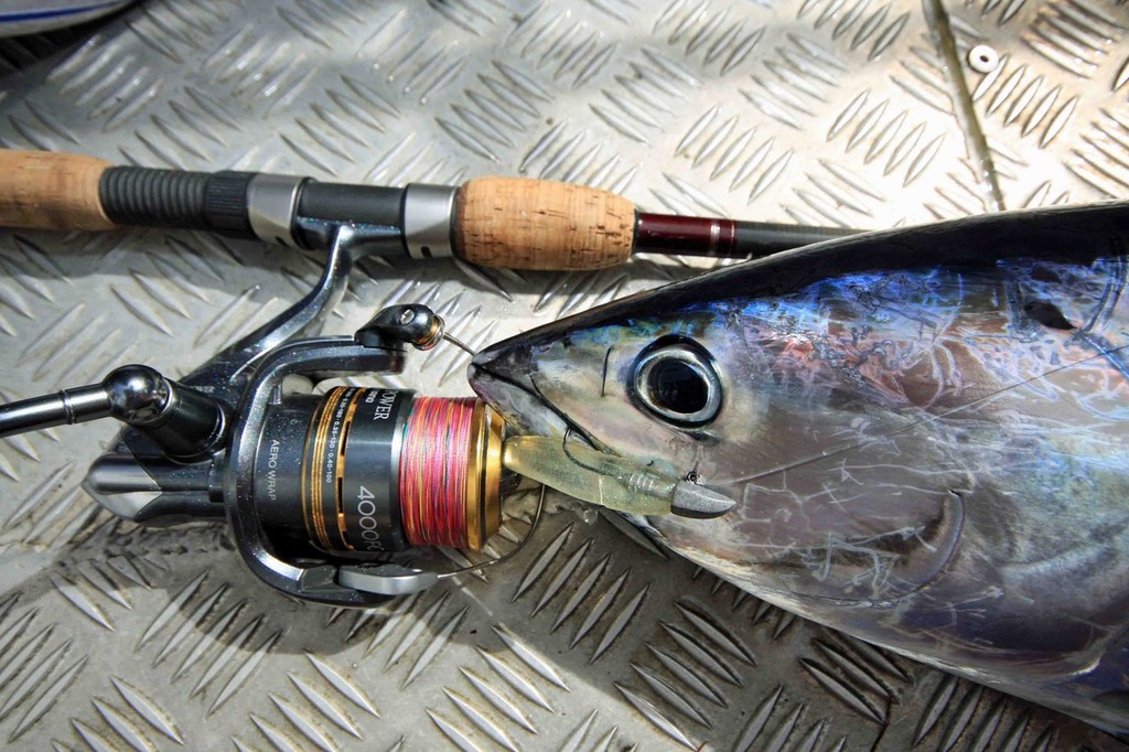 Even when fishing for stripies, make sure all your gear is right and ready. Small tuna will still test your tackle, especially when boat side. © Jarrod Day