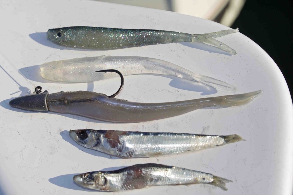 Match the hatch where possible. Plastics resembling local baitfish are often not passed up. © Jarrod Day