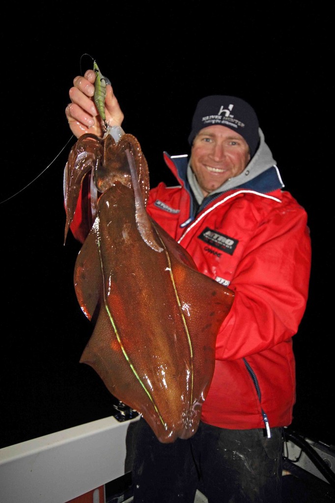 Calamari are also night hunters and some big models are available. © Jarrod Day