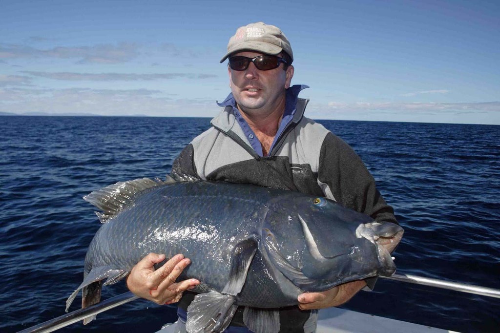 Maximum hook exposure is paramount when rigging baits for mako sharks. ©  Jarrod Day www.jarrodday.com