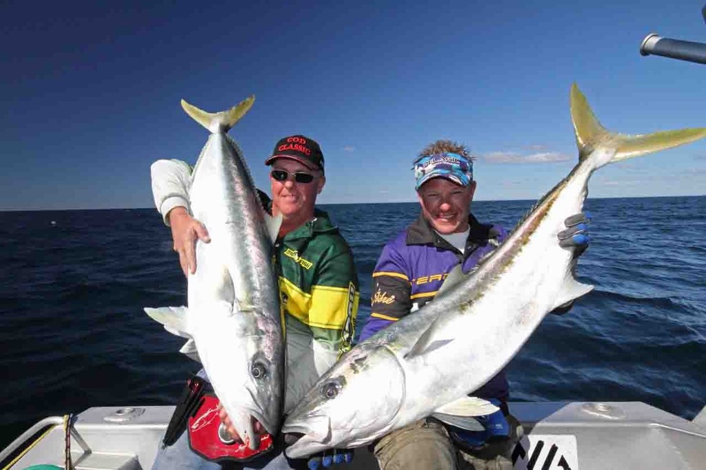 The fruits of fishing wide, two kingfish over 45 pound each. © Jarrod Day