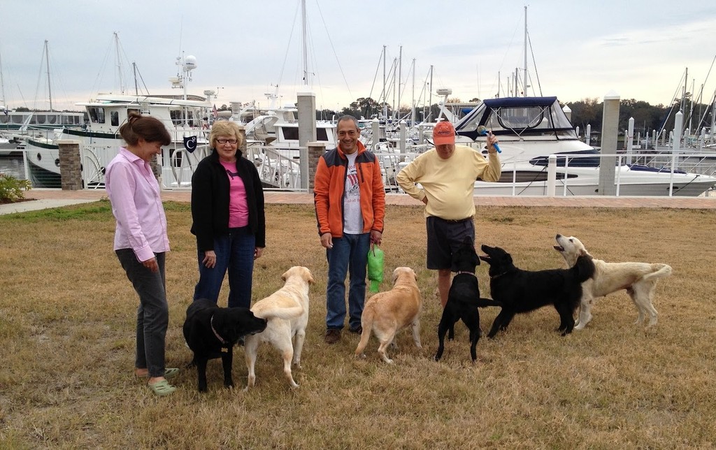 Sailing dogs and their unpaid crews photo copyright  SW taken at  and featuring the  class