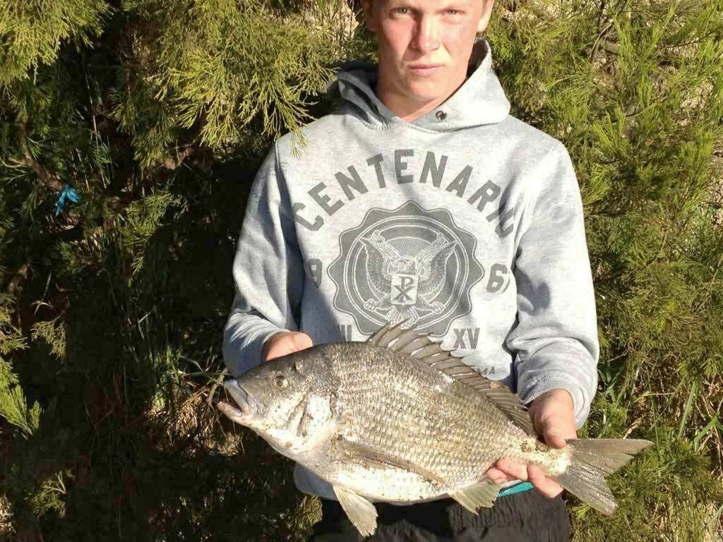 A  black bream from the lower reaches of the Rubicon photo copyright Carl Hyland taken at  and featuring the  class
