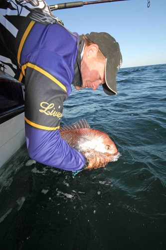 The author releasing a nice back to water. © Jarrod Day