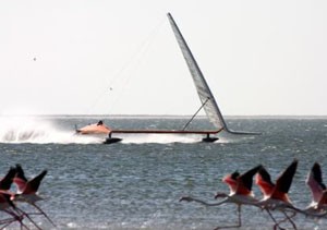 I think they're freaky... They think i'm freaky... Probably best we just avoid each other. - Vestas Sailrocket 2 photo copyright Dave and Gordon Cameron / Vestas Sailrocket http://www.sailrocket.com/ taken at  and featuring the  class