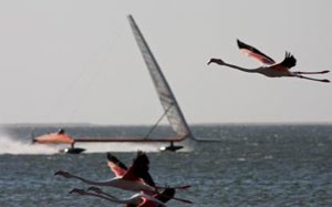 I think they're freaky... They think i'm freaky... Probably best we just avoid each other. - Vestas Sailrocket 2 photo copyright Dave and Gordon Cameron / Vestas Sailrocket http://www.sailrocket.com/ taken at  and featuring the  class