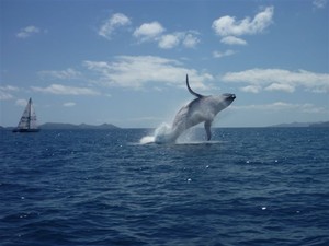 Race Week Photo Competition photo copyright Hamilton Island www.hamiltonisland.com.au taken at  and featuring the  class