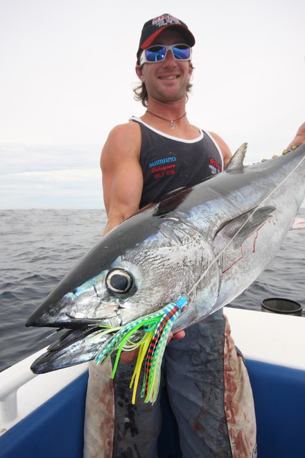 There is a place for all lures. This tuna took a skirt off the surface. © Jarrod Day