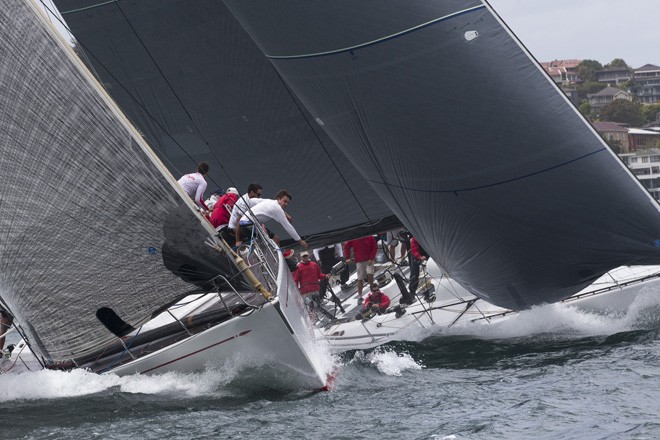 Ginger &copy;  Andrea Francolini Photography http://www.afrancolini.com/