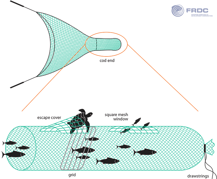 Turtle exclusion device © SW