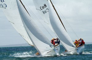 C41 phoenix and C08 Nepean - Barloworld Couta Boat Nationals photo copyright  Alex McKinnon Photography http://www.alexmckinnonphotography.com taken at  and featuring the  class