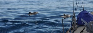Tasmania so many experiences along the way photo copyright  SW taken at  and featuring the  class