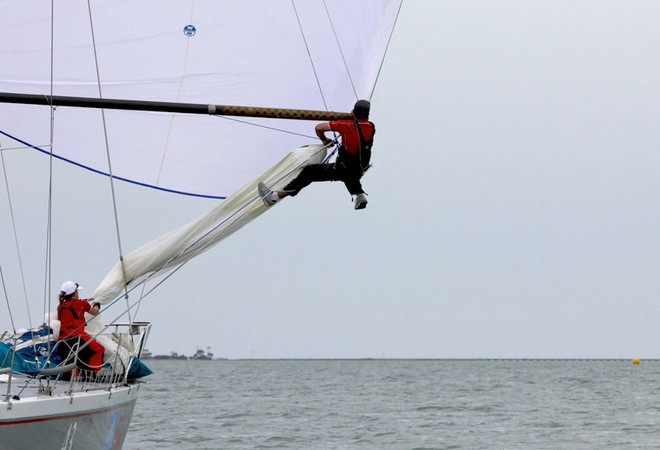 Wild Rose’s bowman goes out to fix an issue with the beak. - Festival of Sails ©  John Curnow