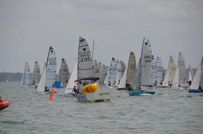 Cherub fleet on a Crowded 55 boat startline  - 50th Cherub National Championships © Fiona Lunsmann